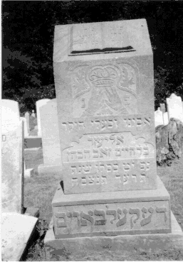Tombstone of Louis Deckelbaum, #P34
